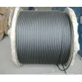 Galvanized Steel Wire Rope 1X19 with Good Quality